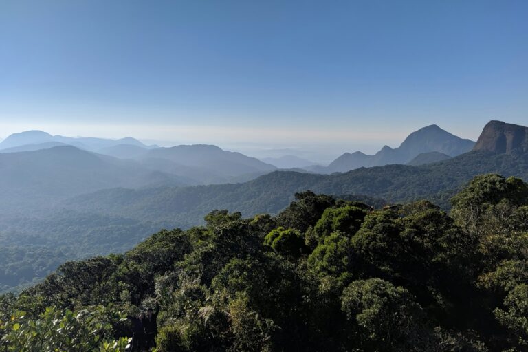 vinicius-bustamante–orMxi3Ob7c-unsplash