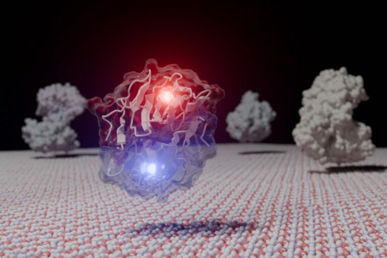 enzima-nature-lnbr-cnpem-2025