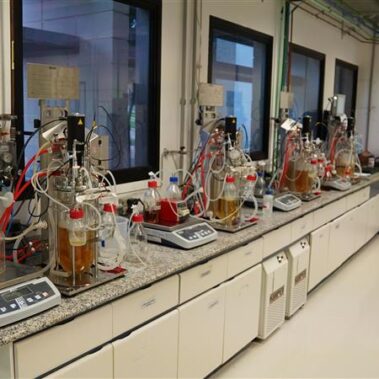 Biorreatores de Bancada